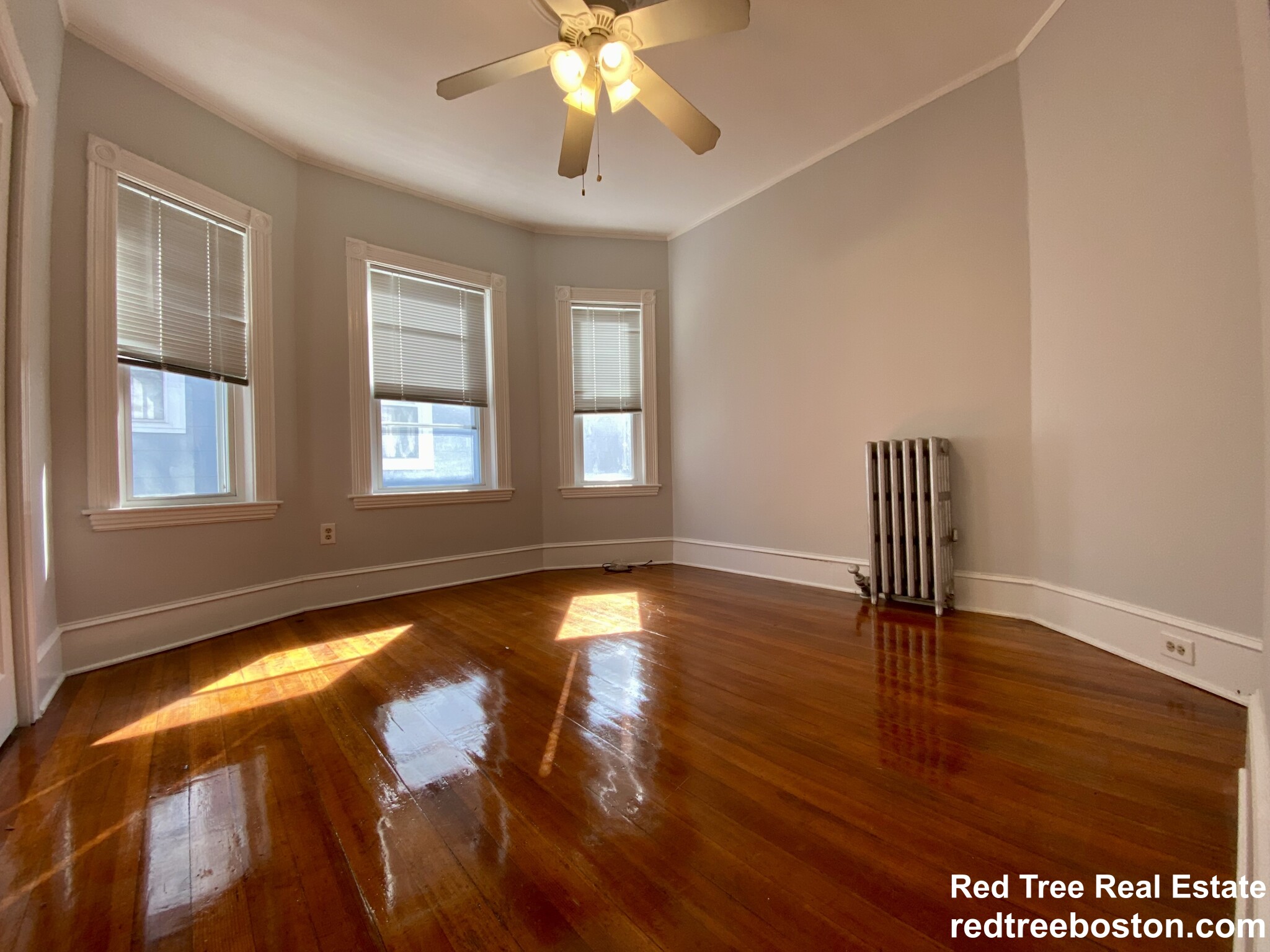 14 Dalrymple St, Jamaica Plain