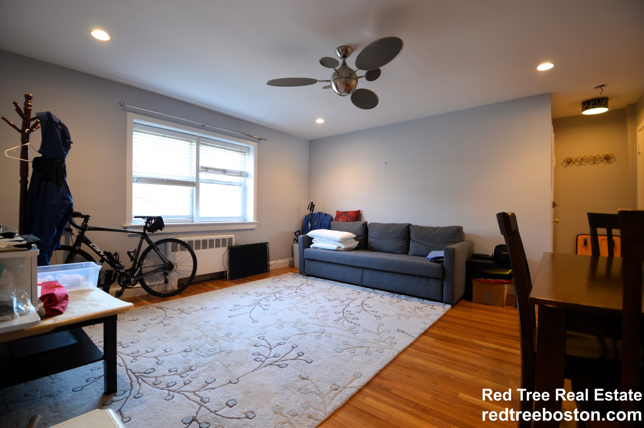 19 Alton Ct, Coolidge Corner