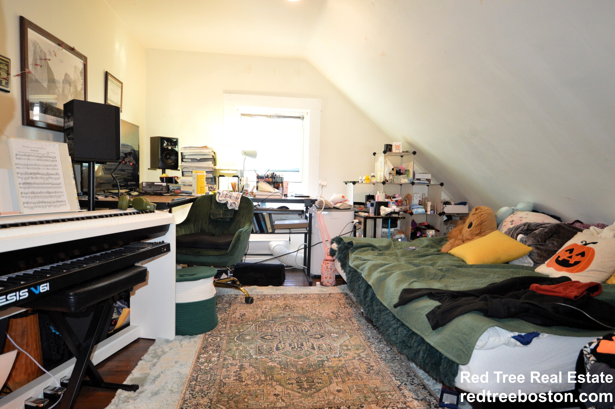 17 Mackin St, Brighton