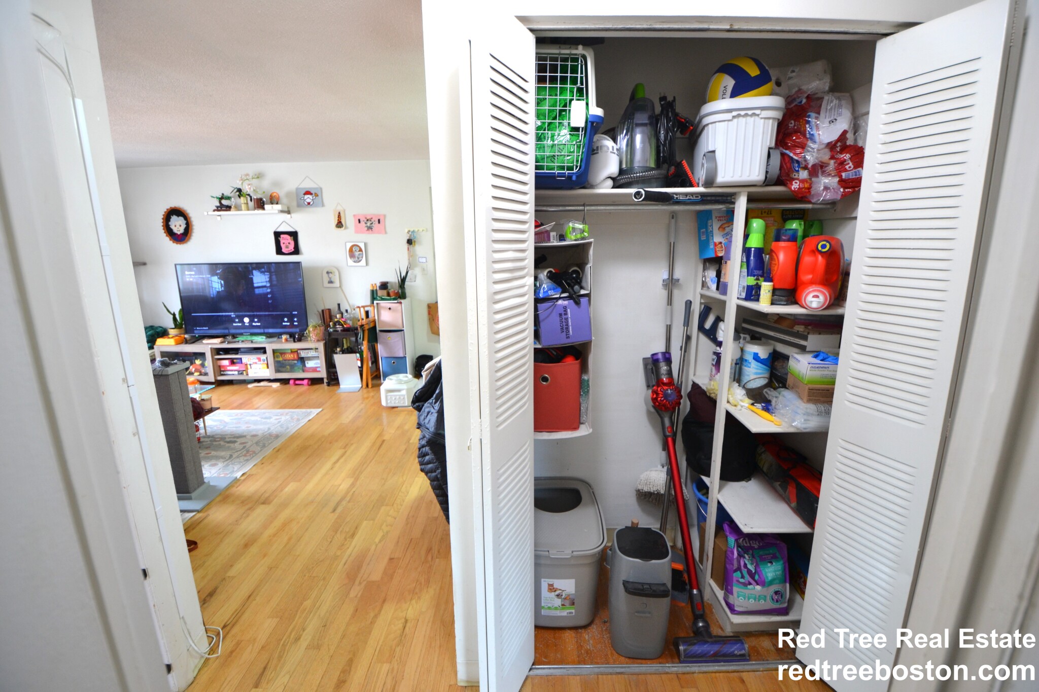 290 Corey Rd, Brighton