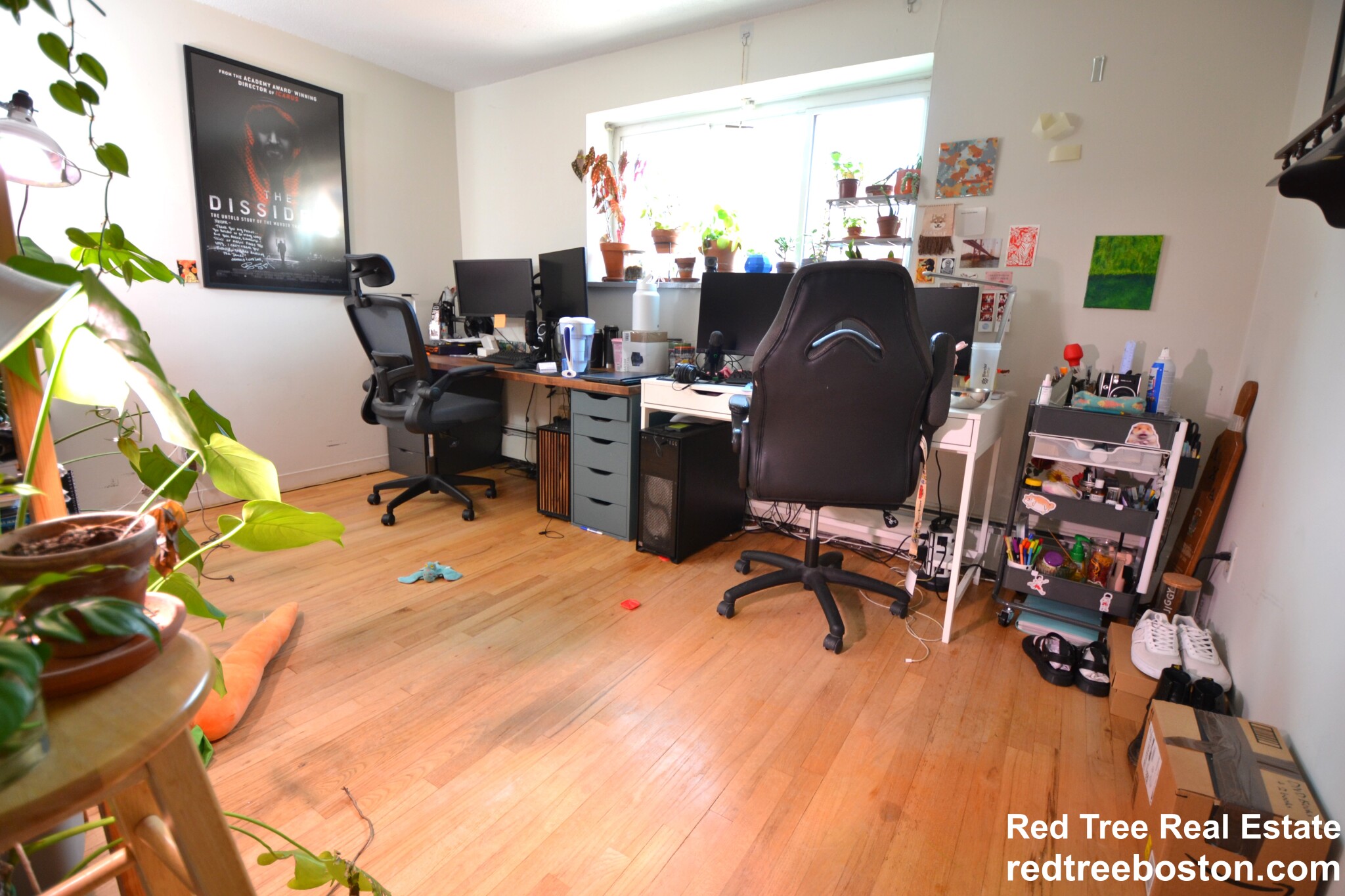 290 Corey Rd, Brighton