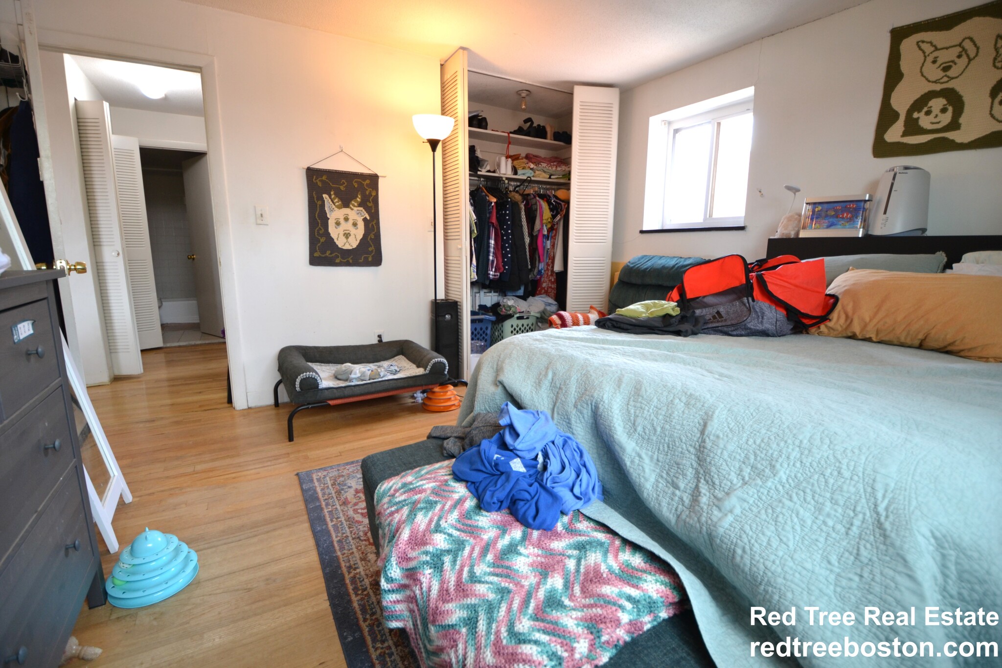 290 Corey Rd, Brighton