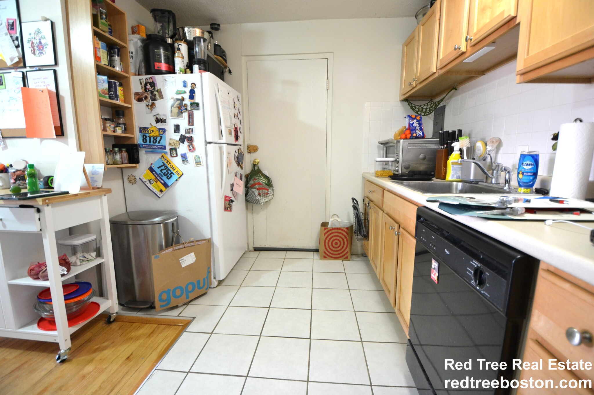 290 Corey Rd, Brighton