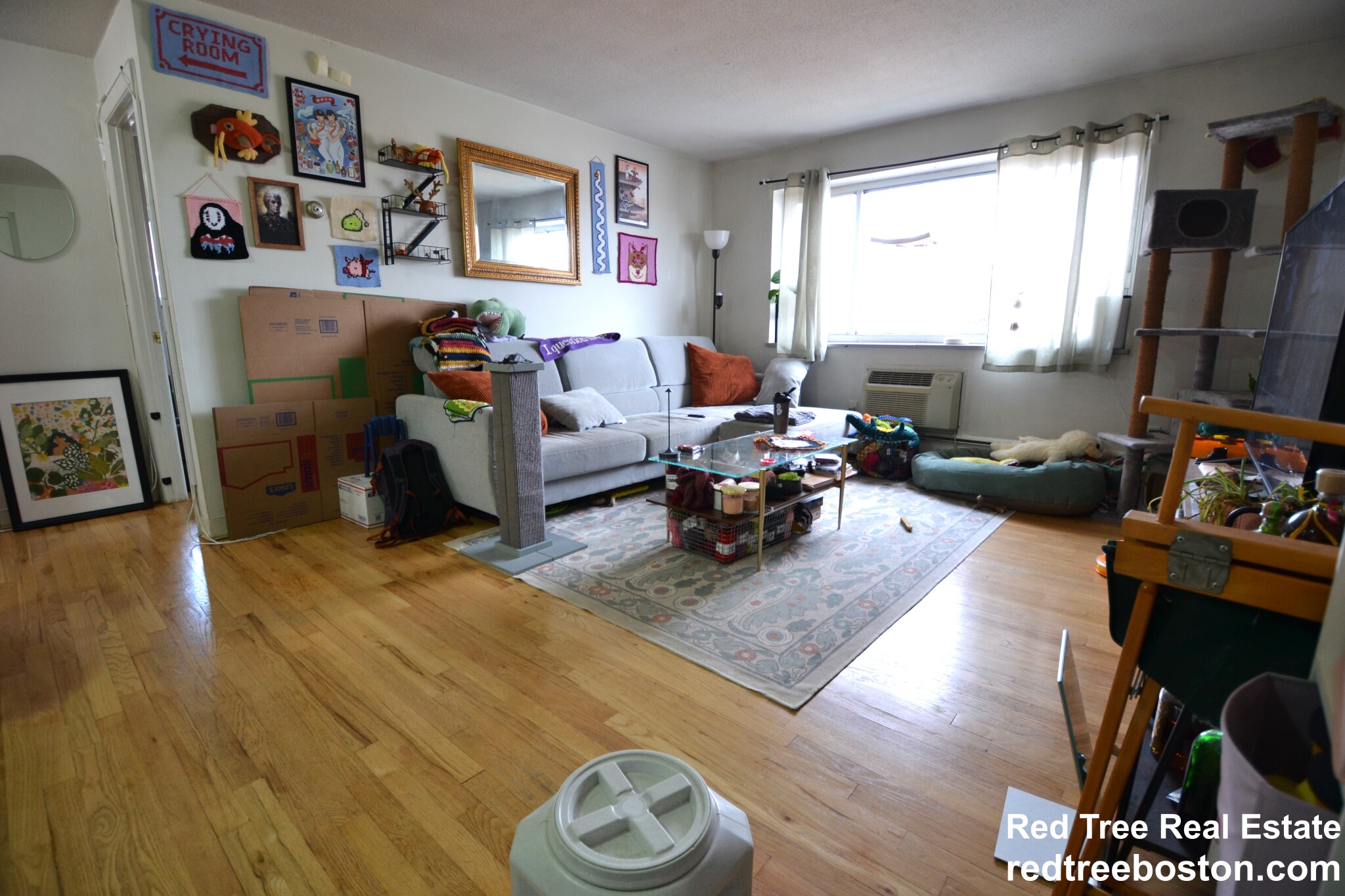 290 Corey Rd, Brighton