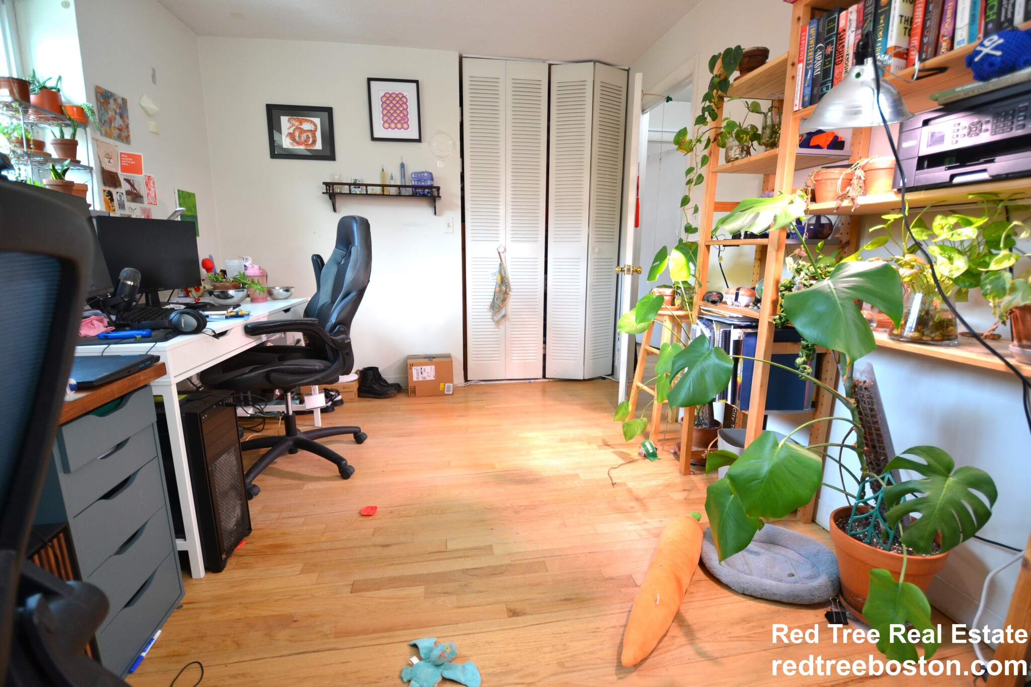 290 Corey Rd, Brighton