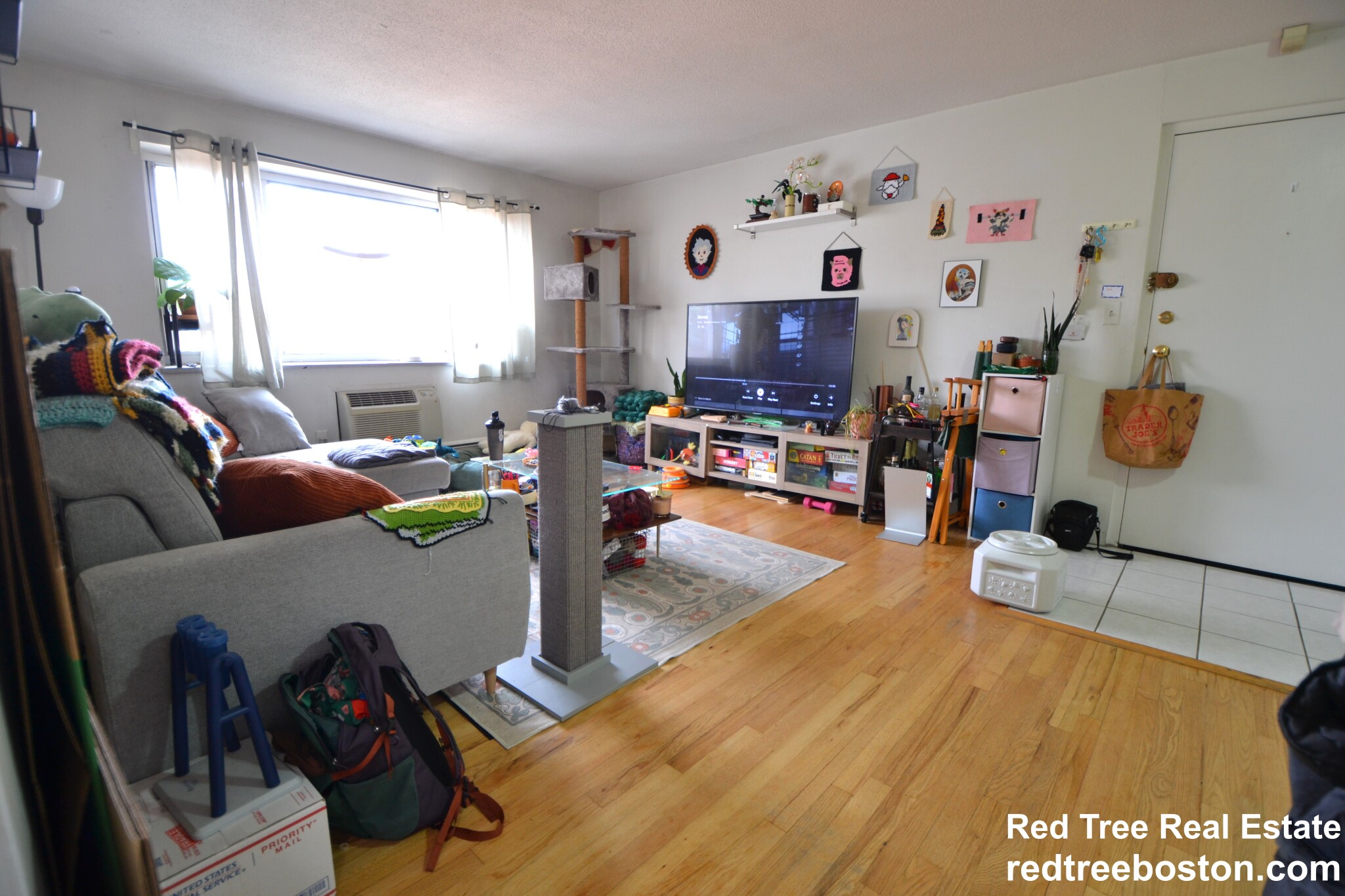 290 Corey Rd, Brighton