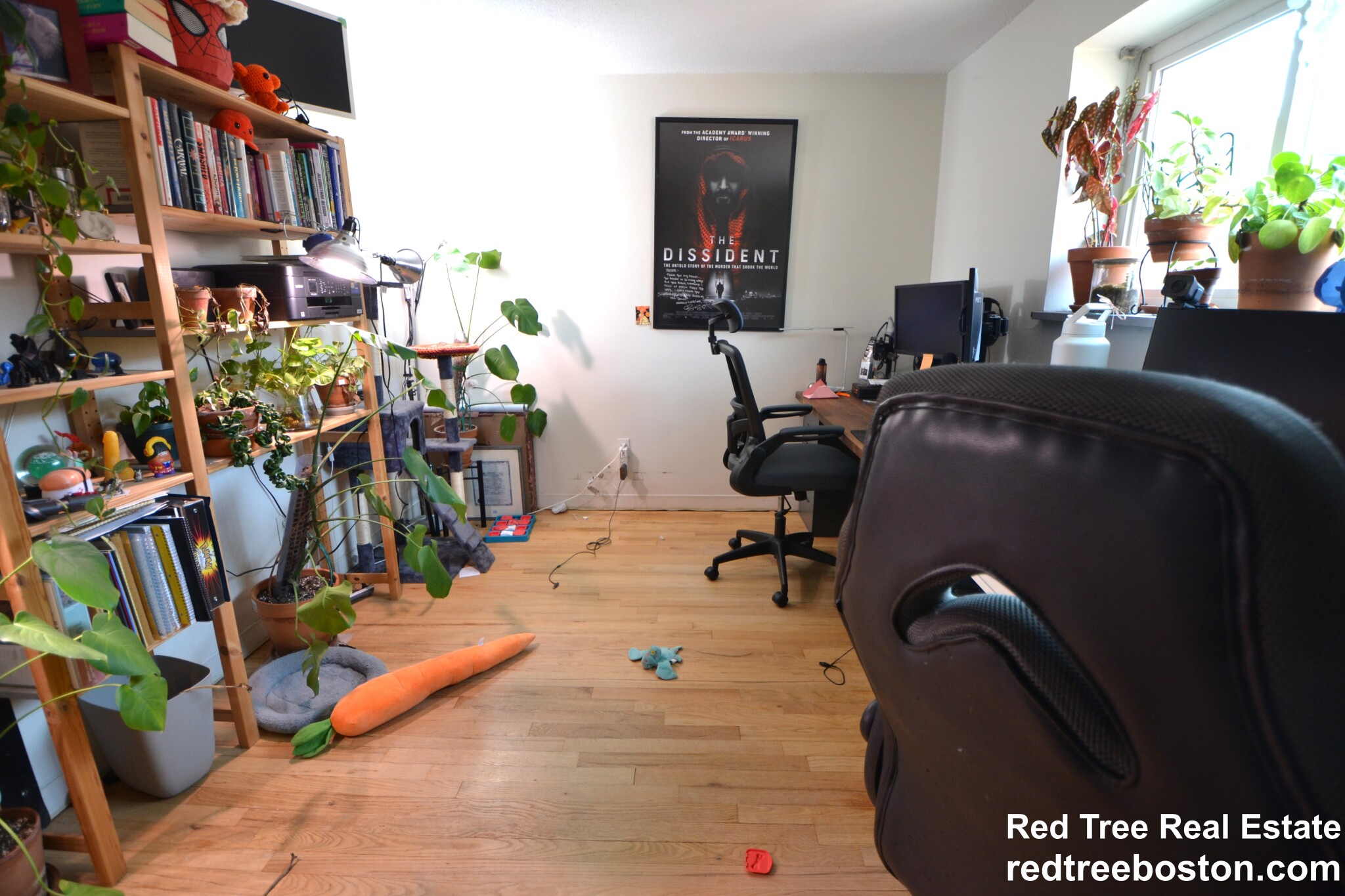 290 Corey Rd, Brighton