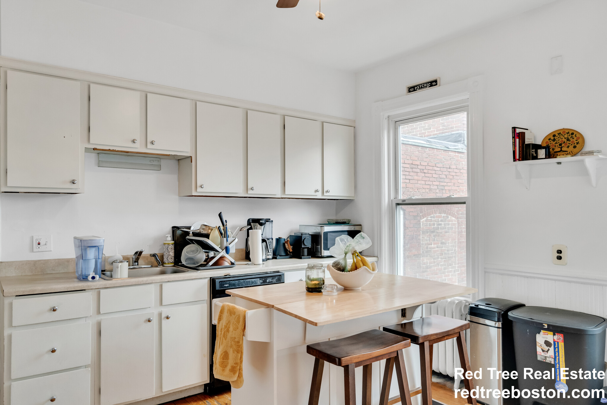 98 Cypress St, Emerson Gardens