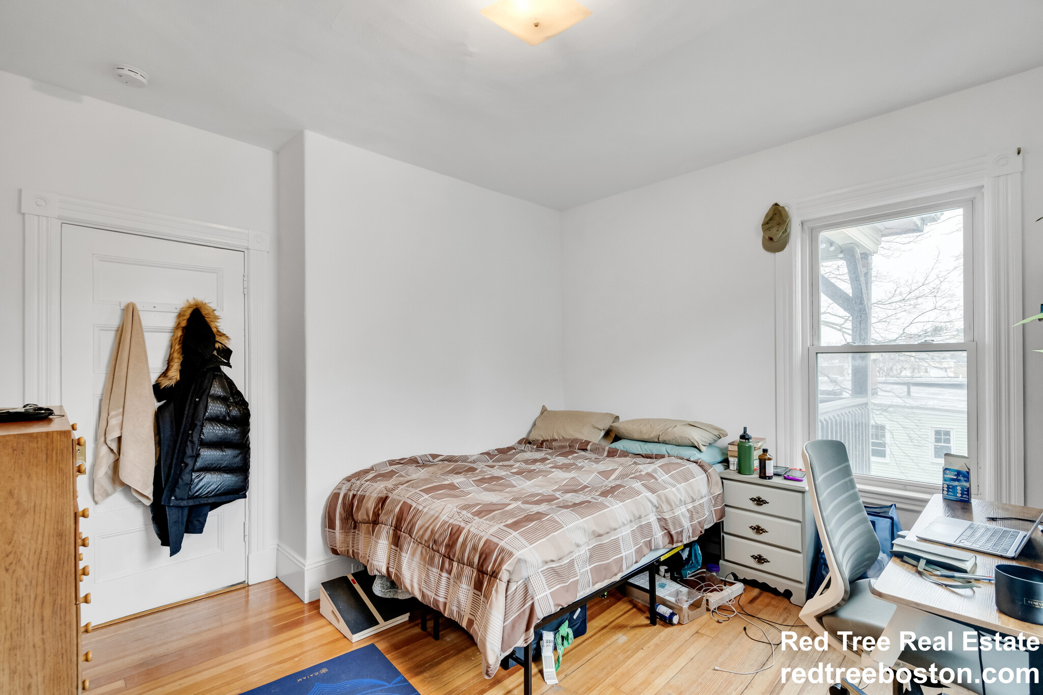 98 Cypress St, Emerson Gardens