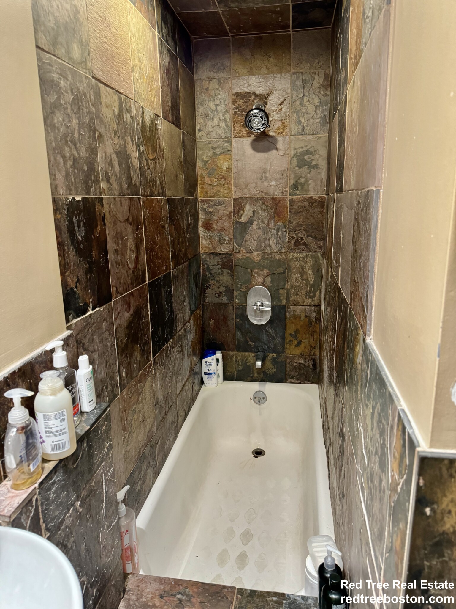 252 Cypress St, Brookline