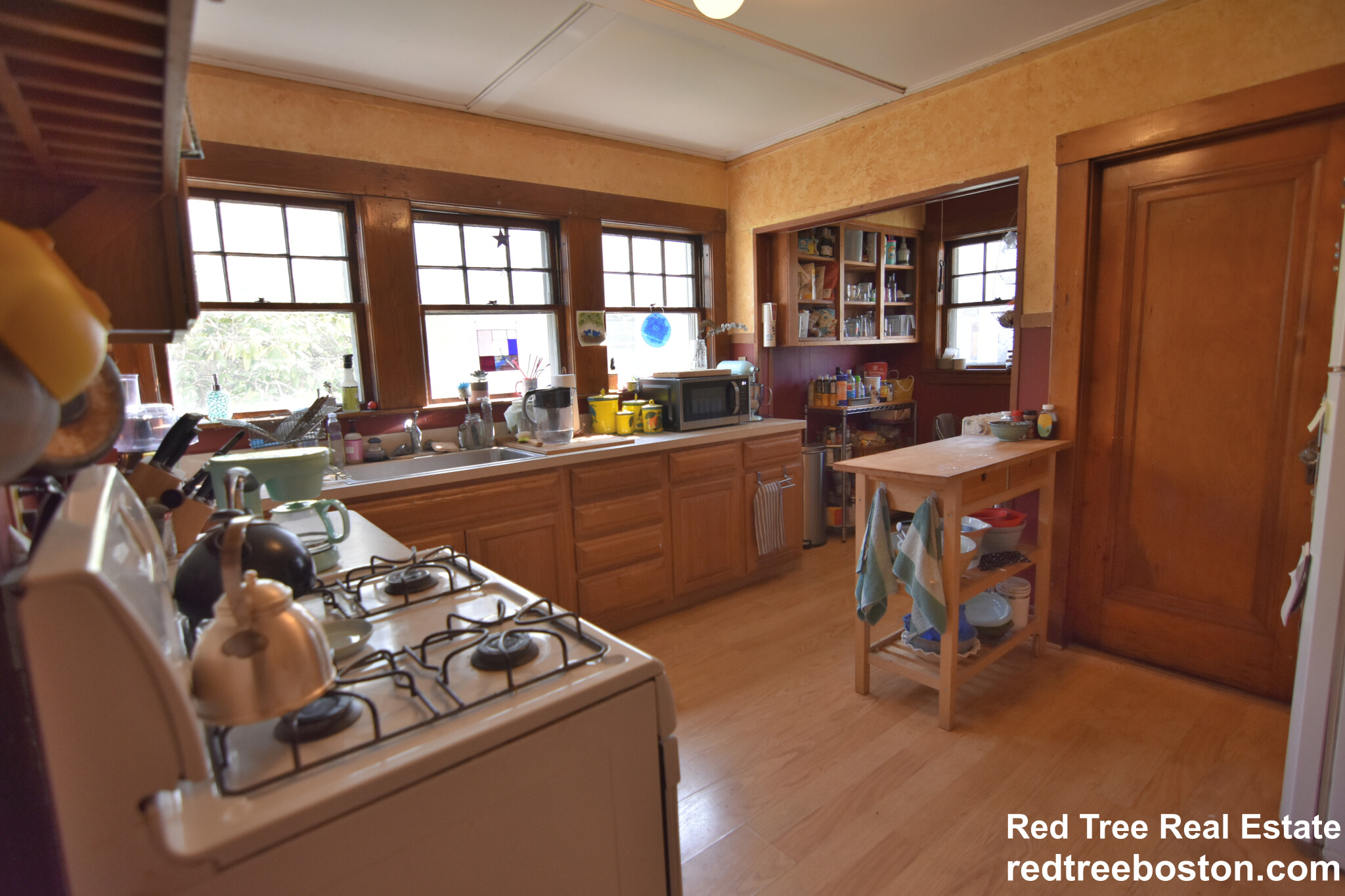 86 Oakland St, Brighton