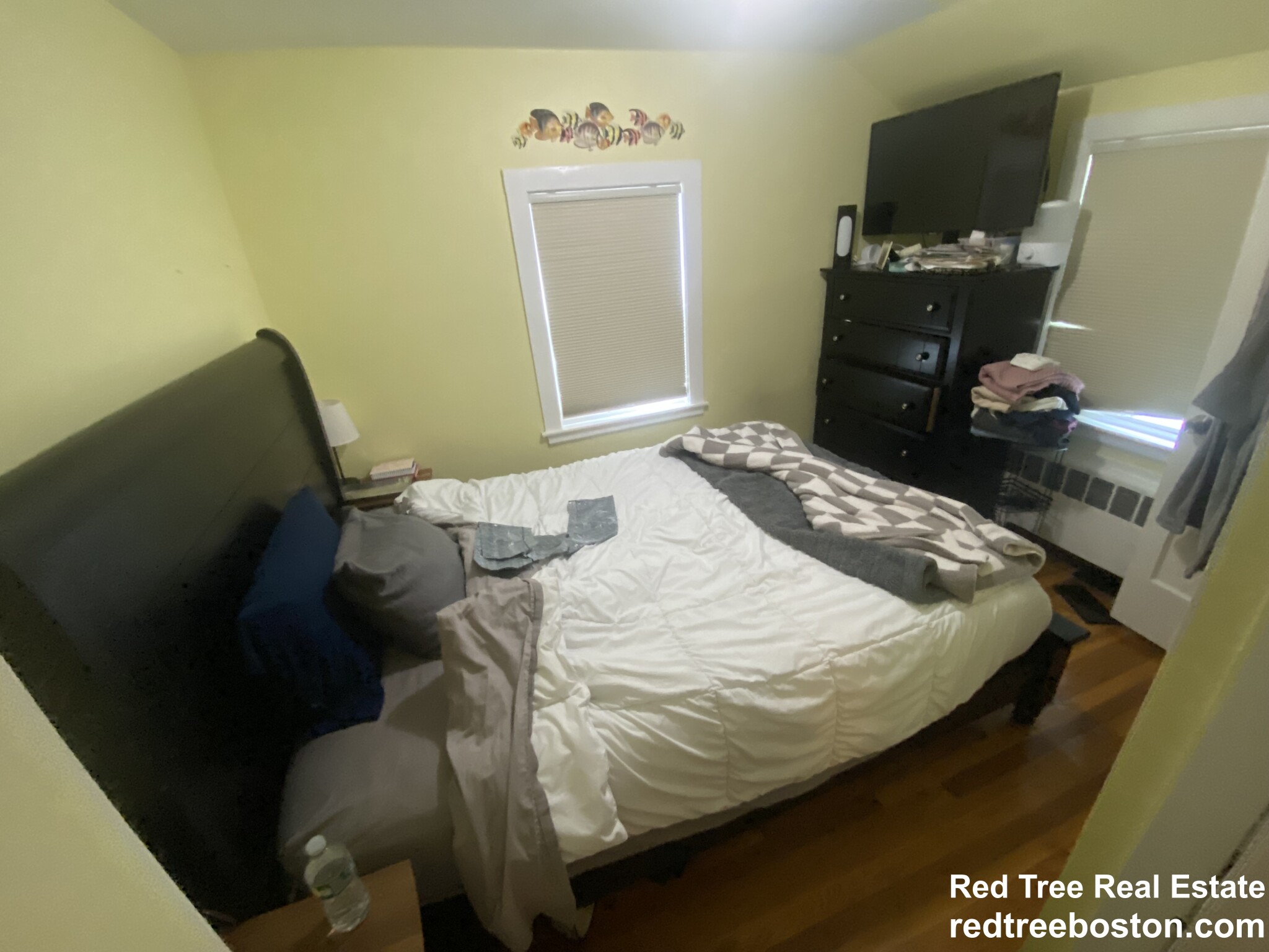 120 Foster Ter, Brighton