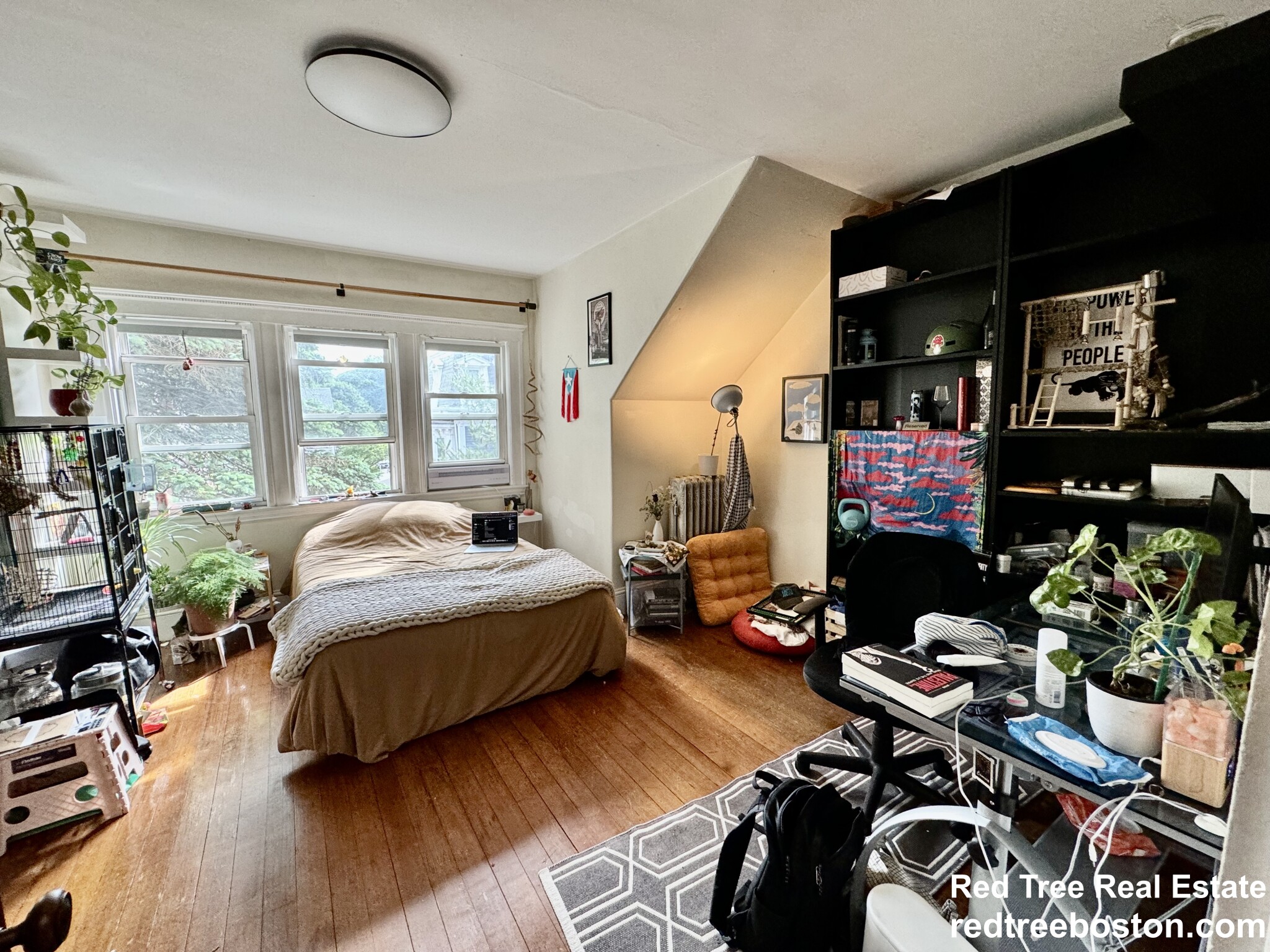 5 Regent Circle, Jamaica Plain
