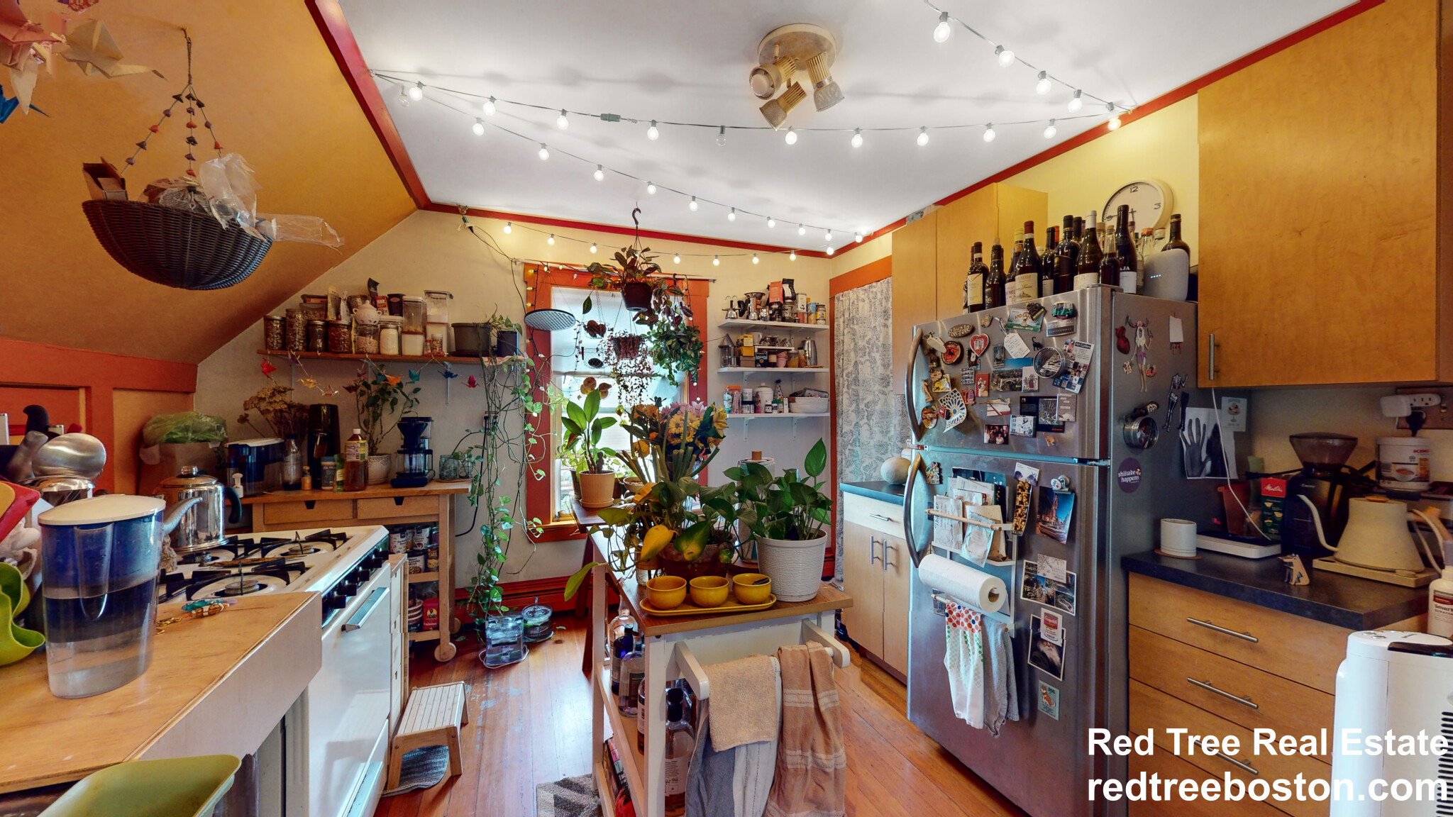 41 Elmore St, Roxbury