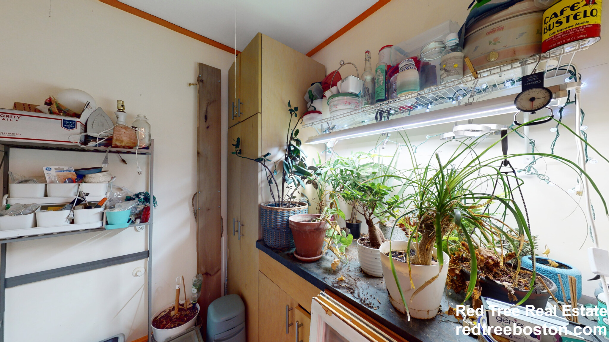 41 Elmore St, Roxbury