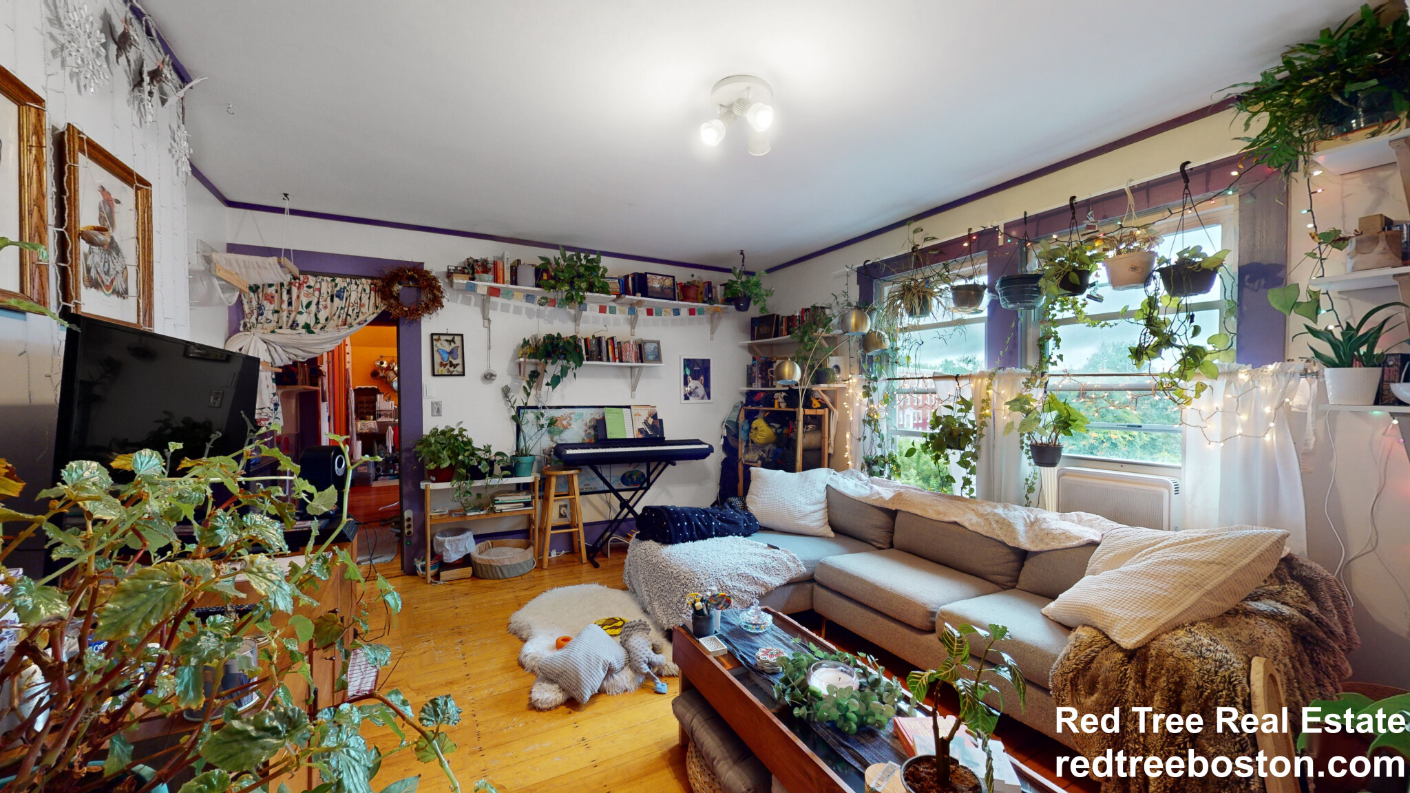 41 Elmore St, Roxbury