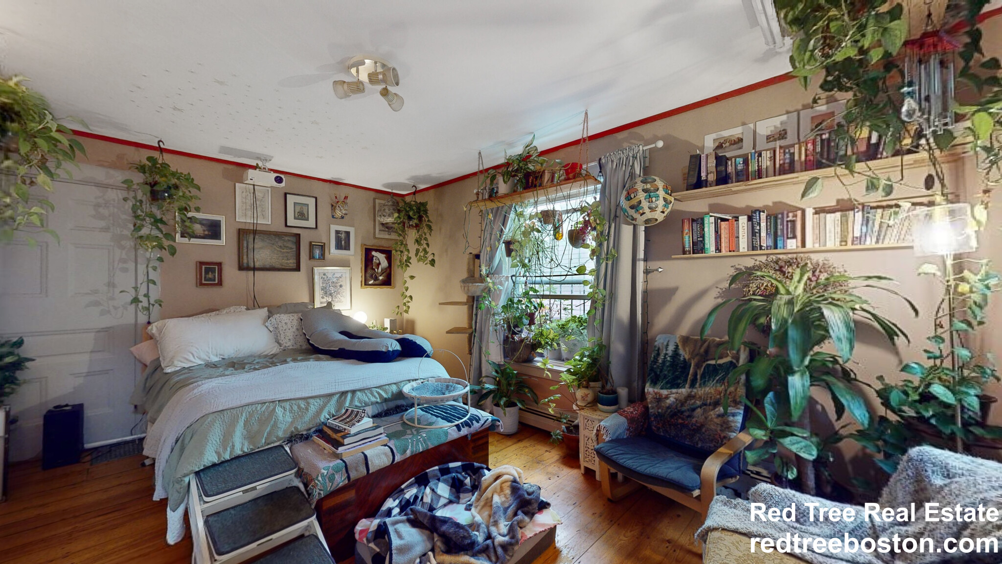 41 Elmore St, Roxbury