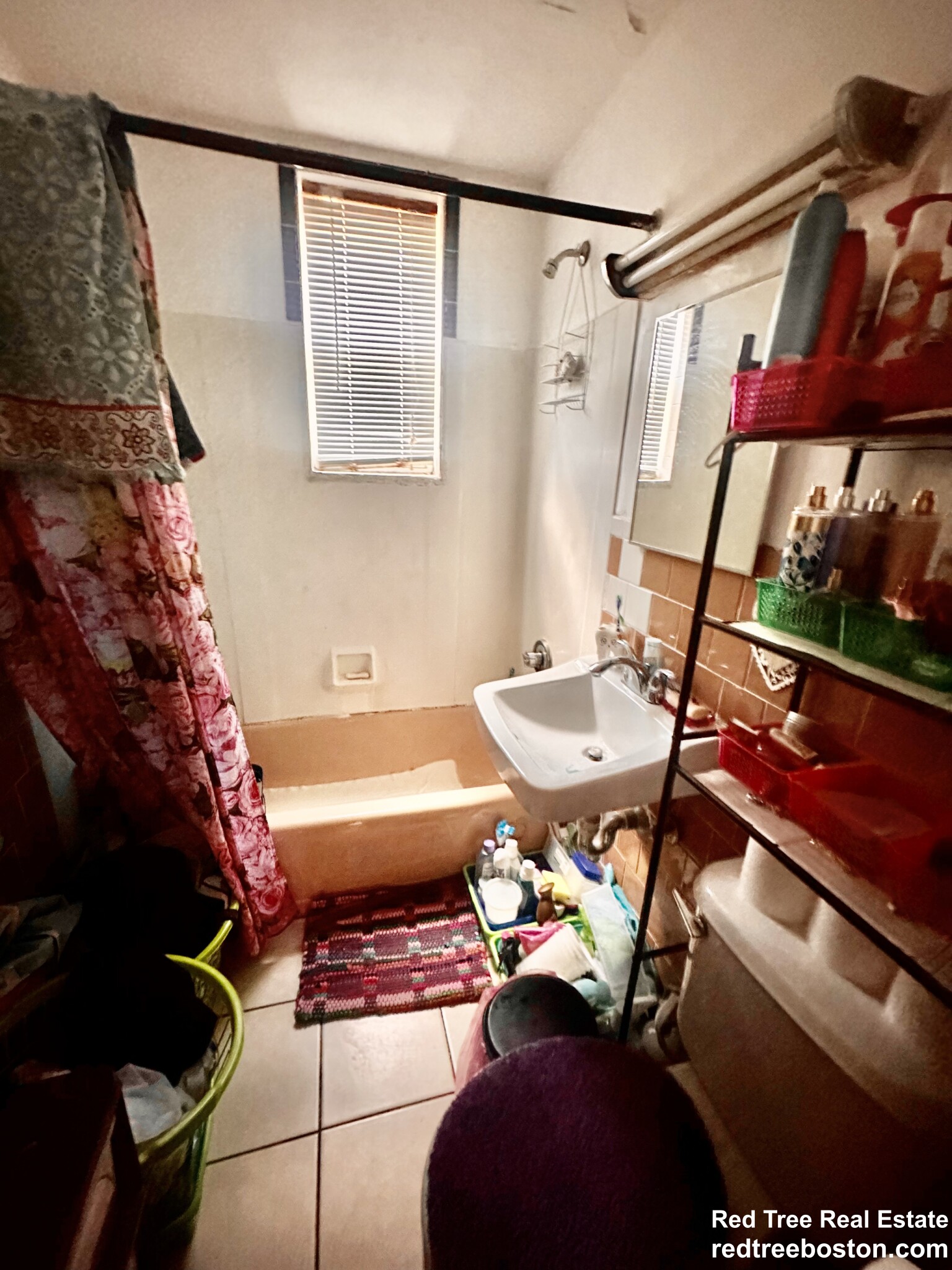 56 Park Vale Ave, Allston