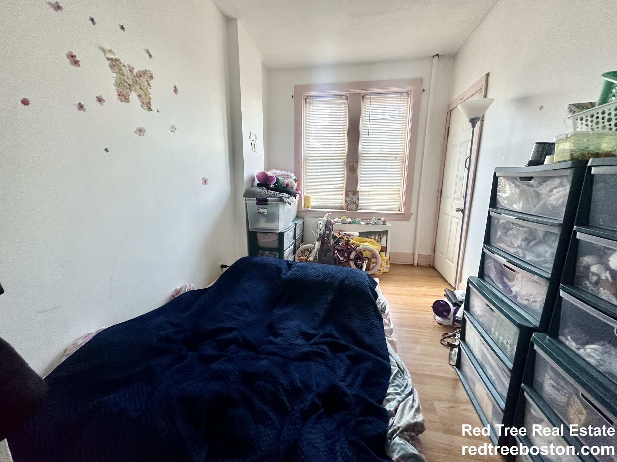 56 Park Vale Ave, Allston