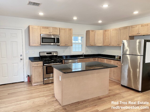 16 Plainfield, Jamaica Plain