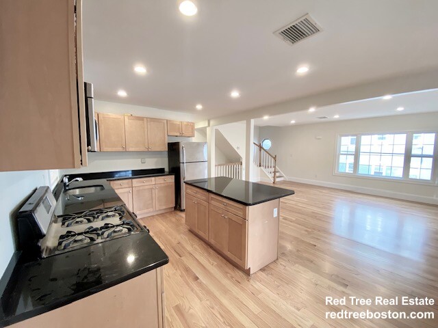 16 Plainfield, Jamaica Plain