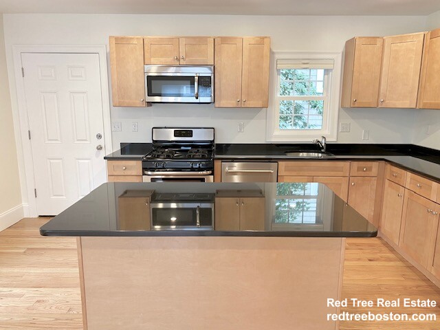 16 Plainfield, Jamaica Plain