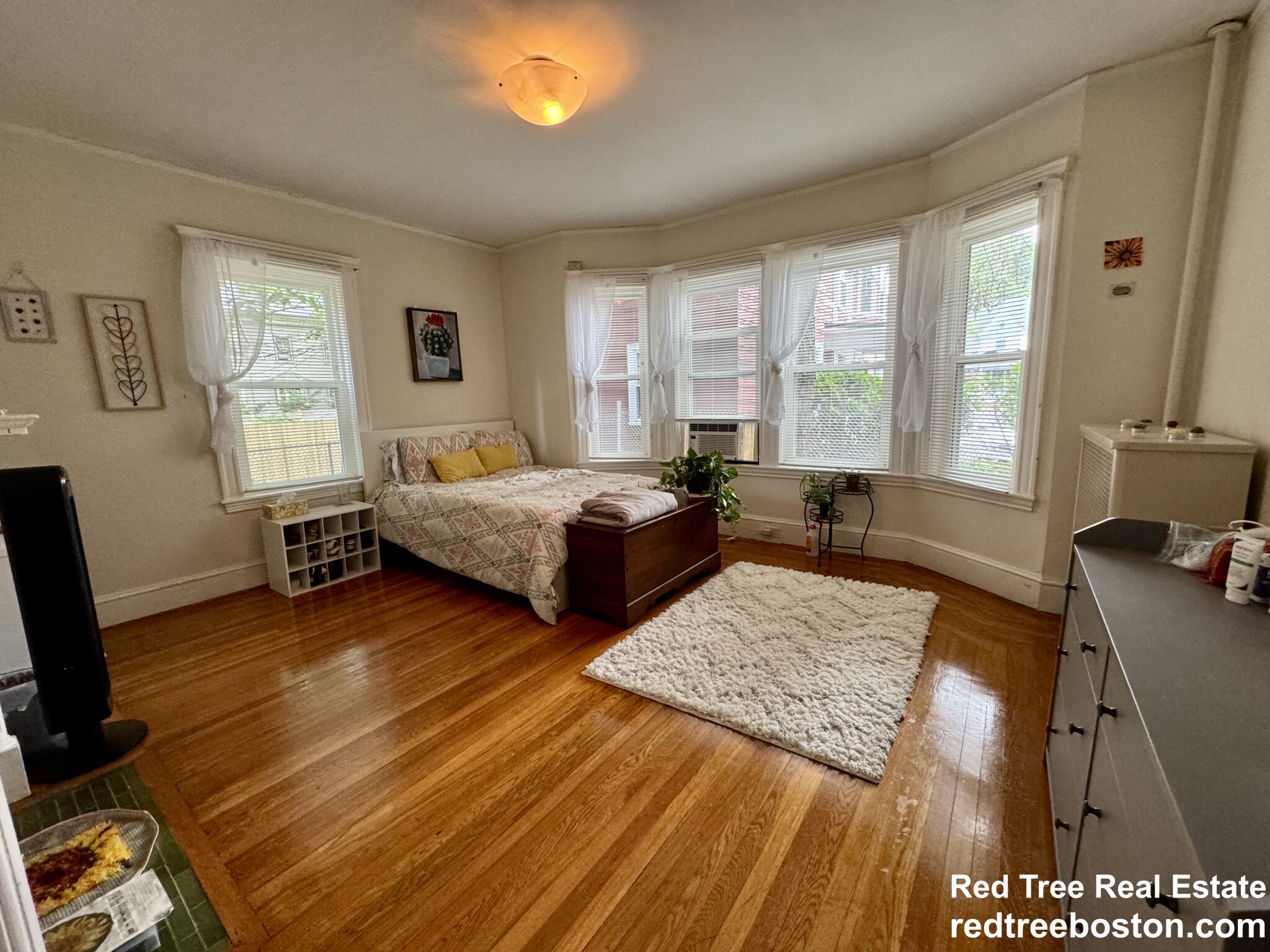 5 Regent Cir, Jamaica Plain