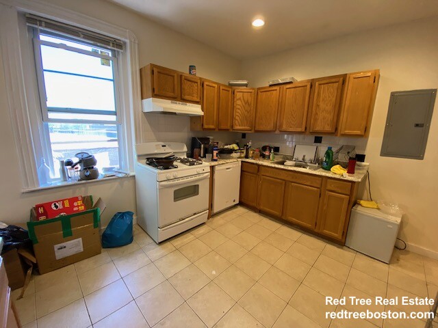 41 Orkney Rd, Brighton