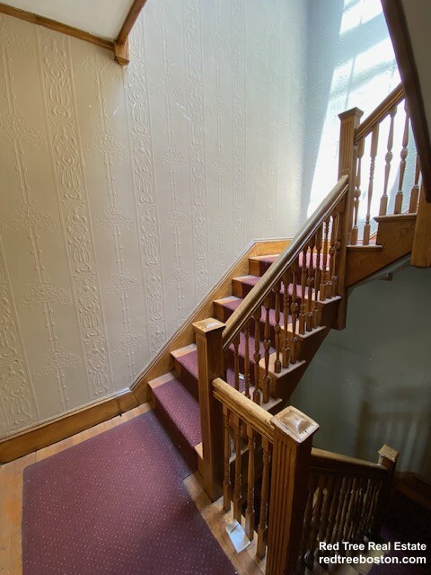 41 Orkney Rd, Brighton