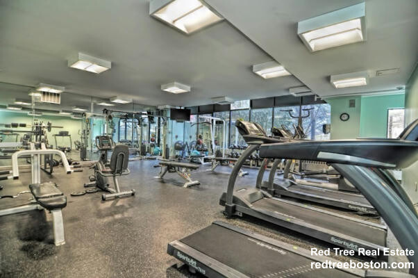 20 Daniels St, Malden