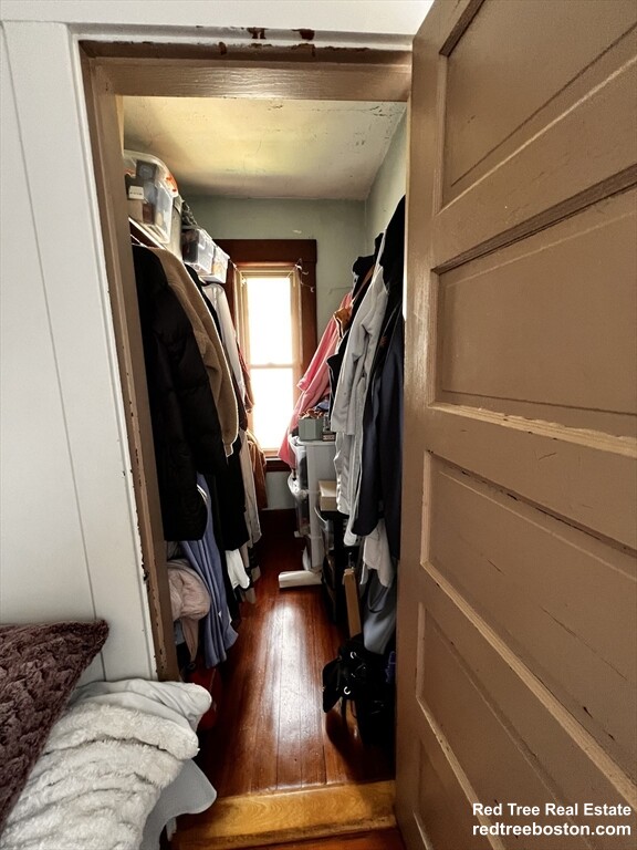 17 Cleveland St, Spring Hill