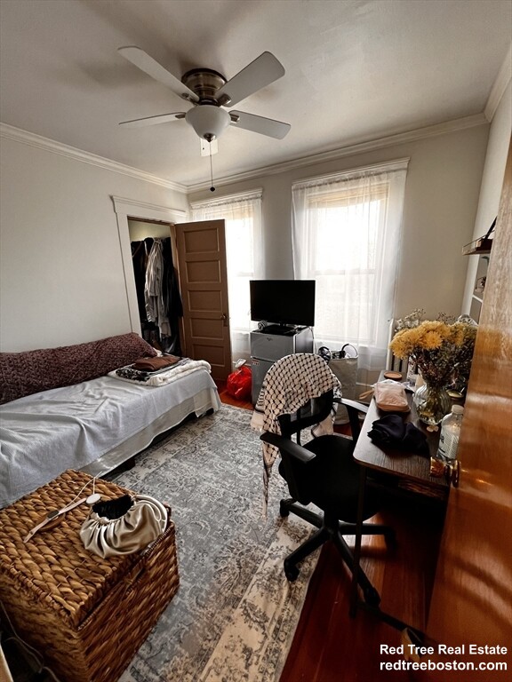 17 Cleveland St, Spring Hill