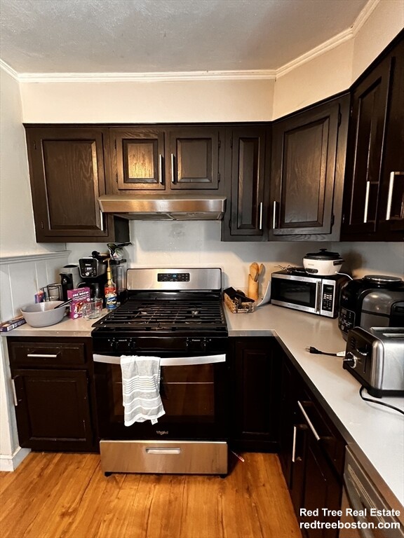 17 Cleveland St, Spring Hill