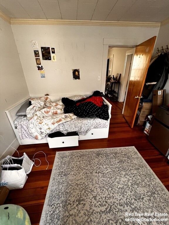 17 Cleveland St, Spring Hill