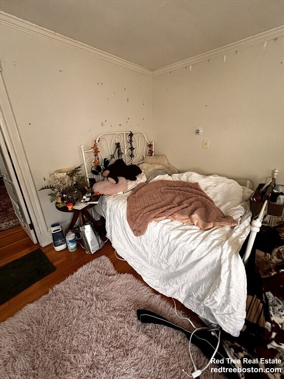 17 Cleveland St, Spring Hill