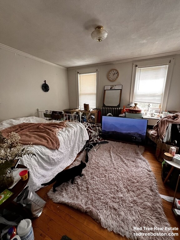 17 Cleveland St, Spring Hill