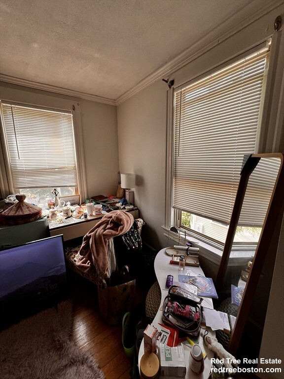 17 Cleveland St, Spring Hill