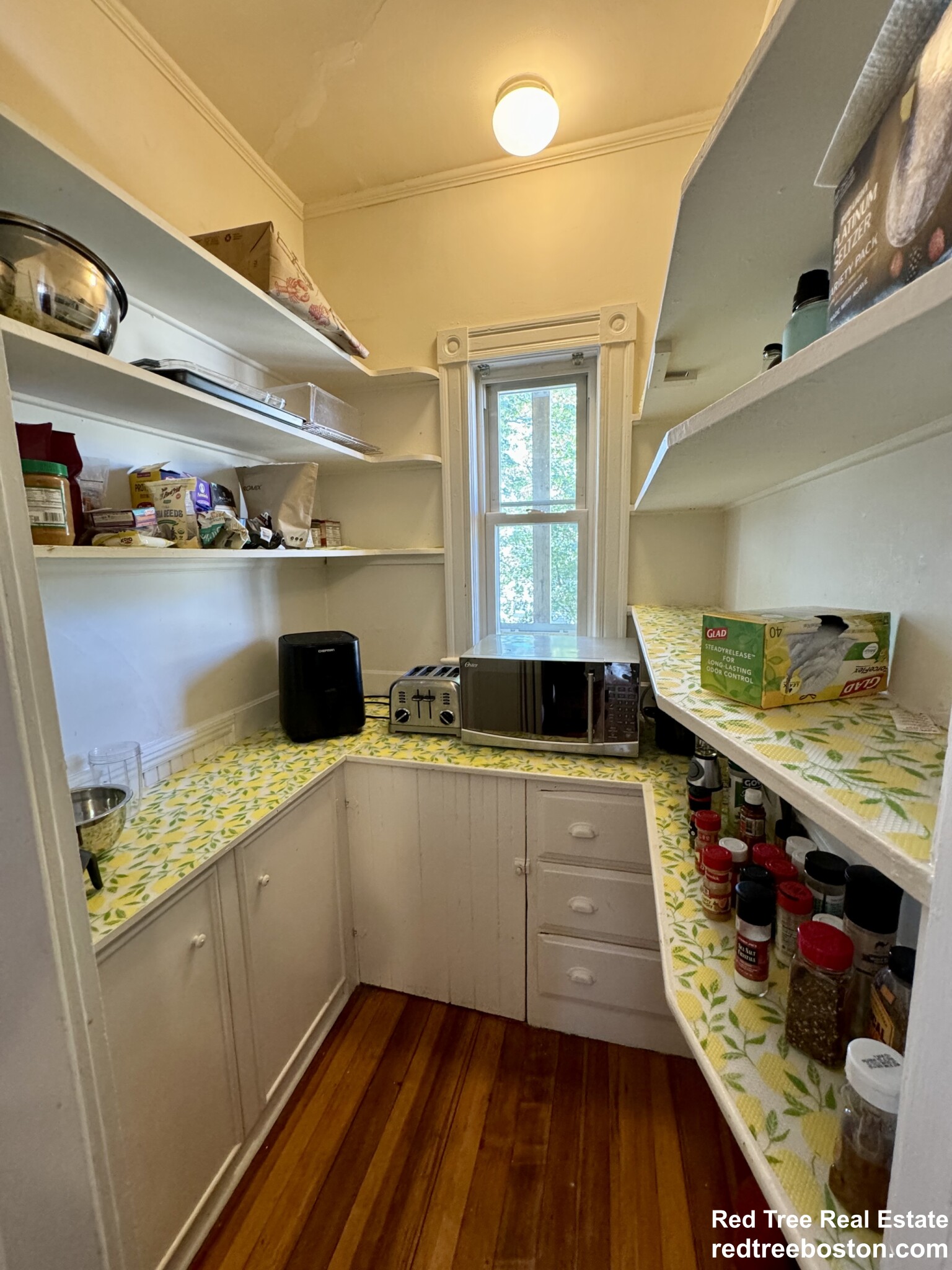 11 Wainwright St, Dorchester