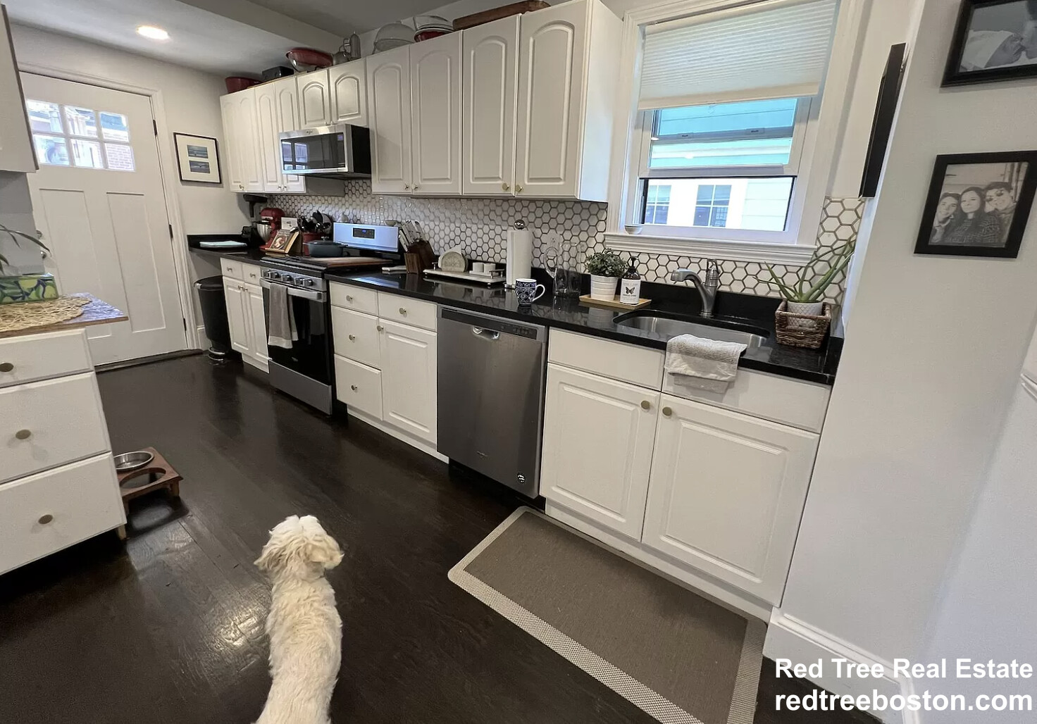 12 Bothwell Rd, Brighton