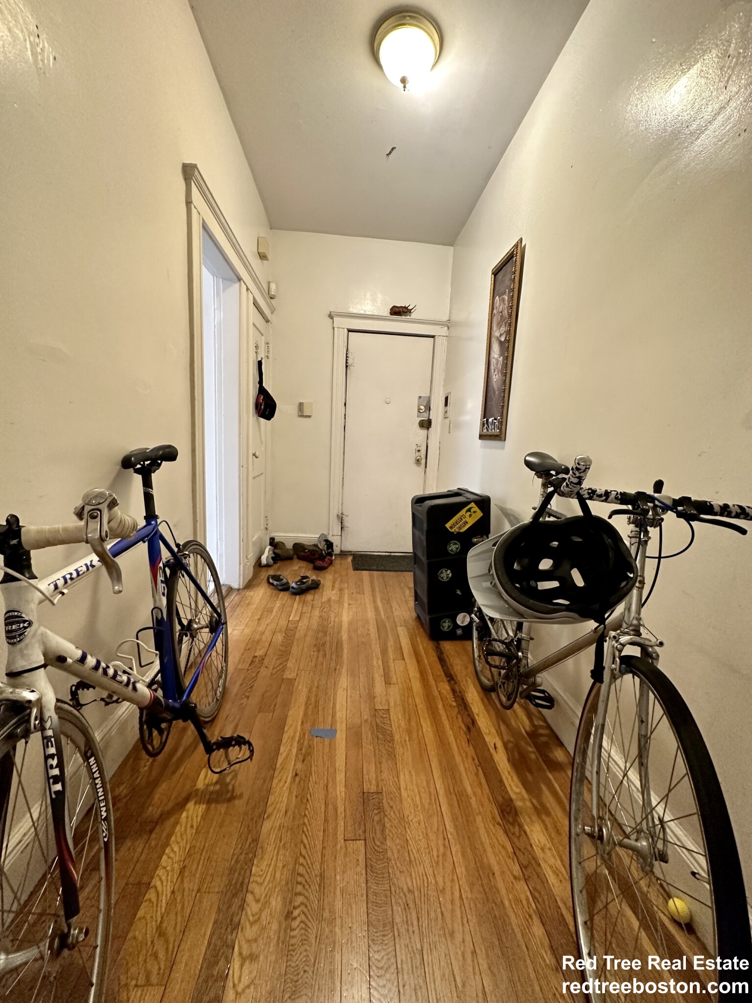 25 Mount Hood Rd, Brighton