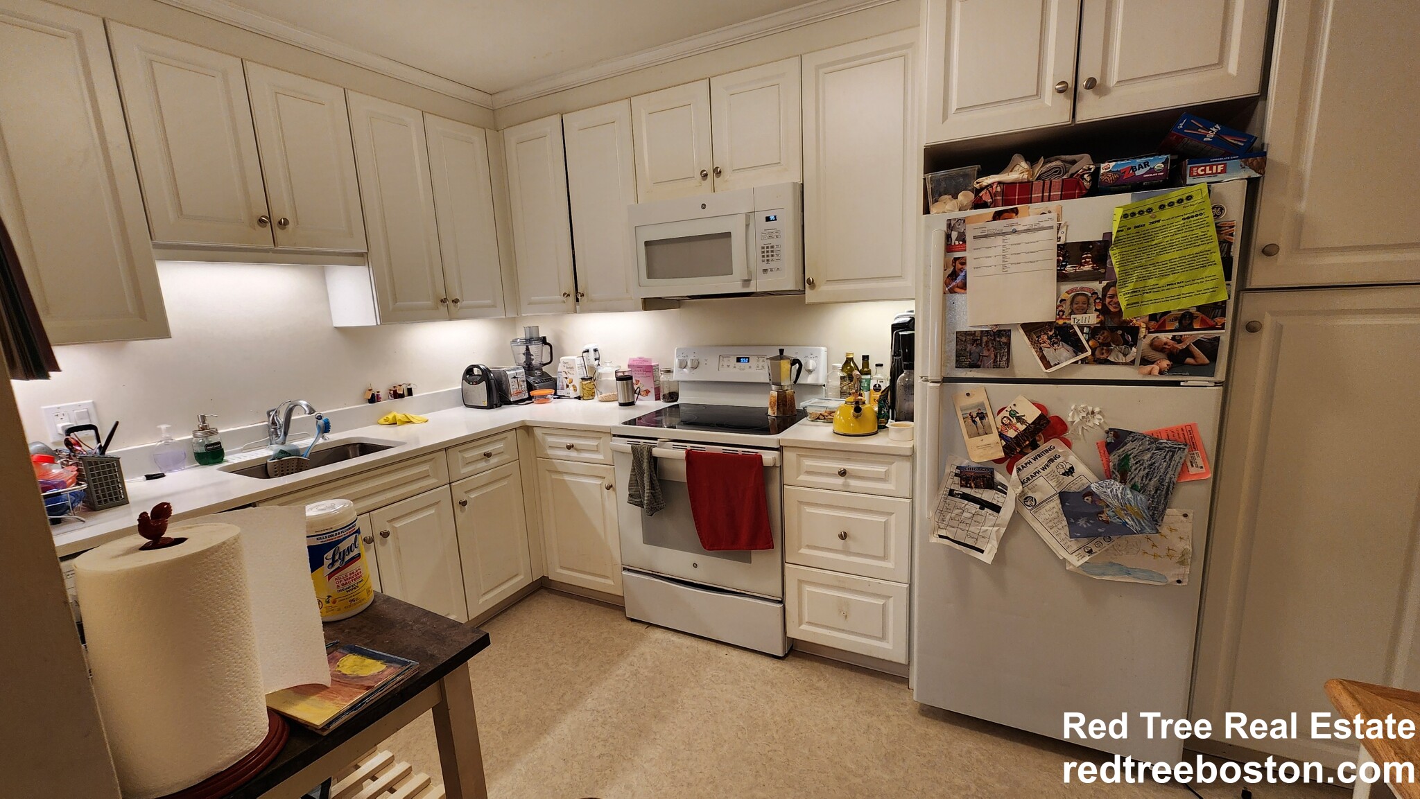 30 Fuller St, North Brookline