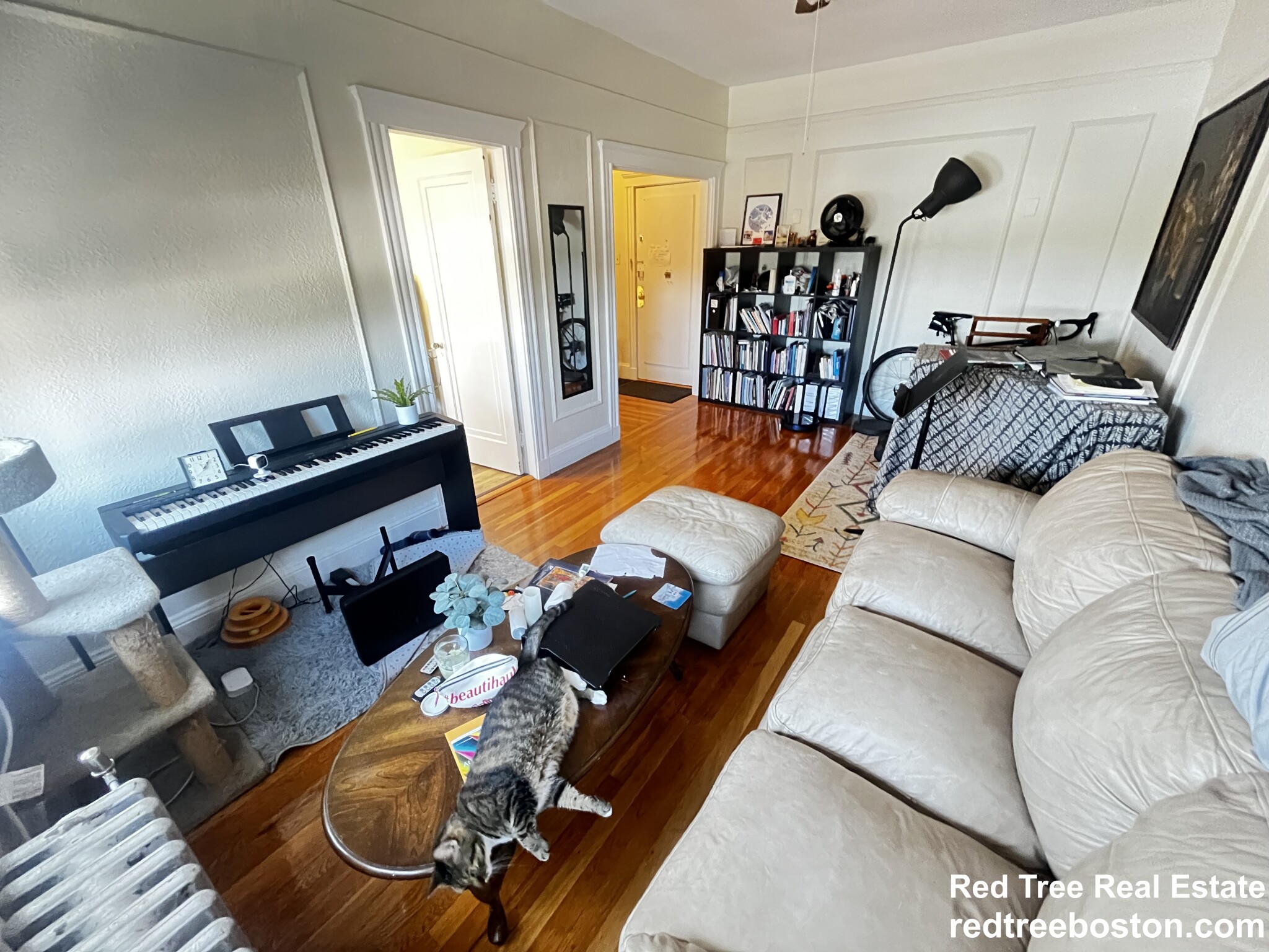 66 Chiswick Rd, Brighton