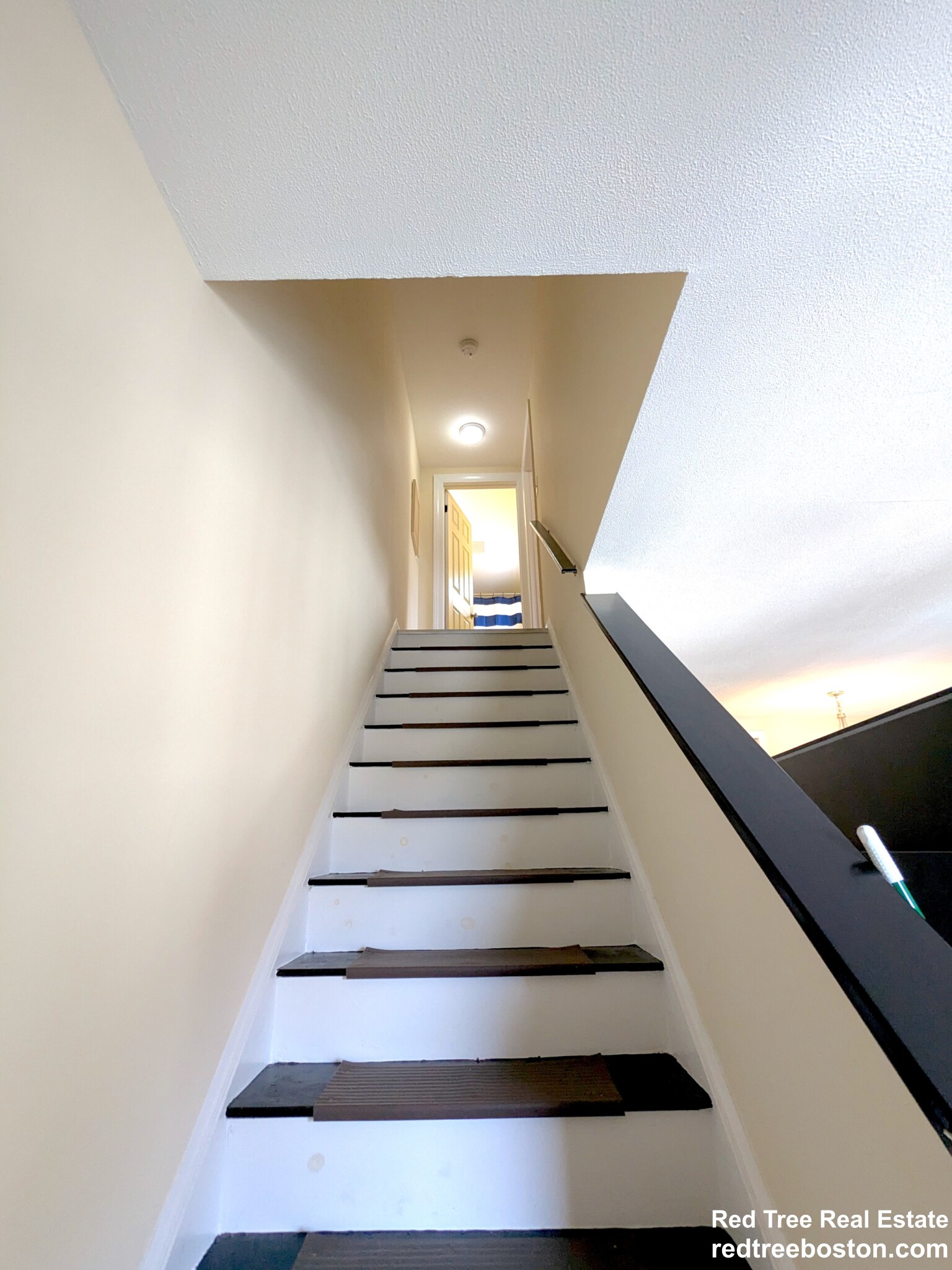 6 Forestdale Rd, Bell Hill
