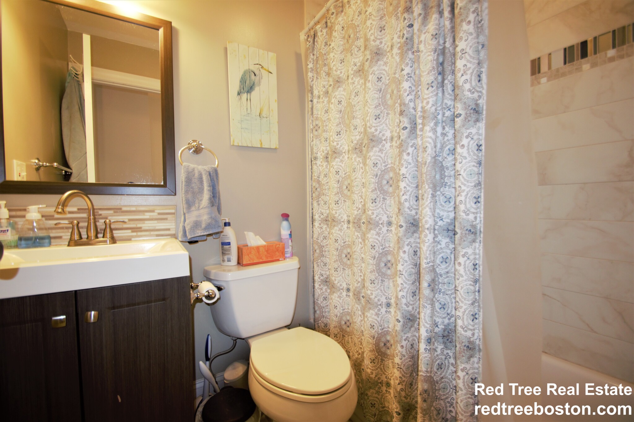 11 Babcock St, North Brookline