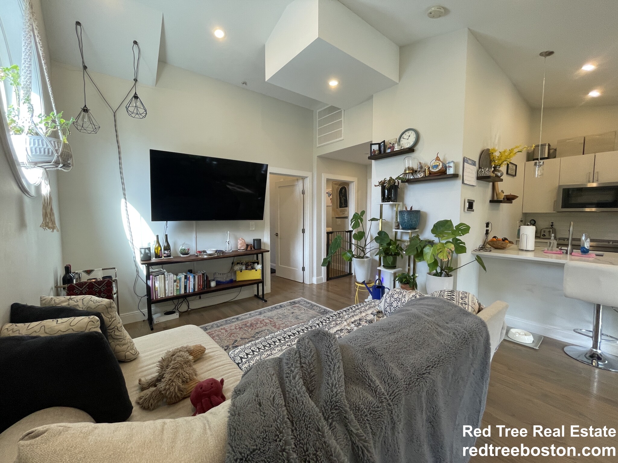 9 Mansfield St, Allston