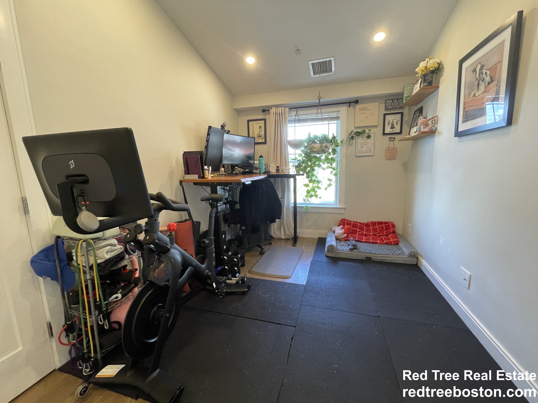 9 Mansfield St, Allston