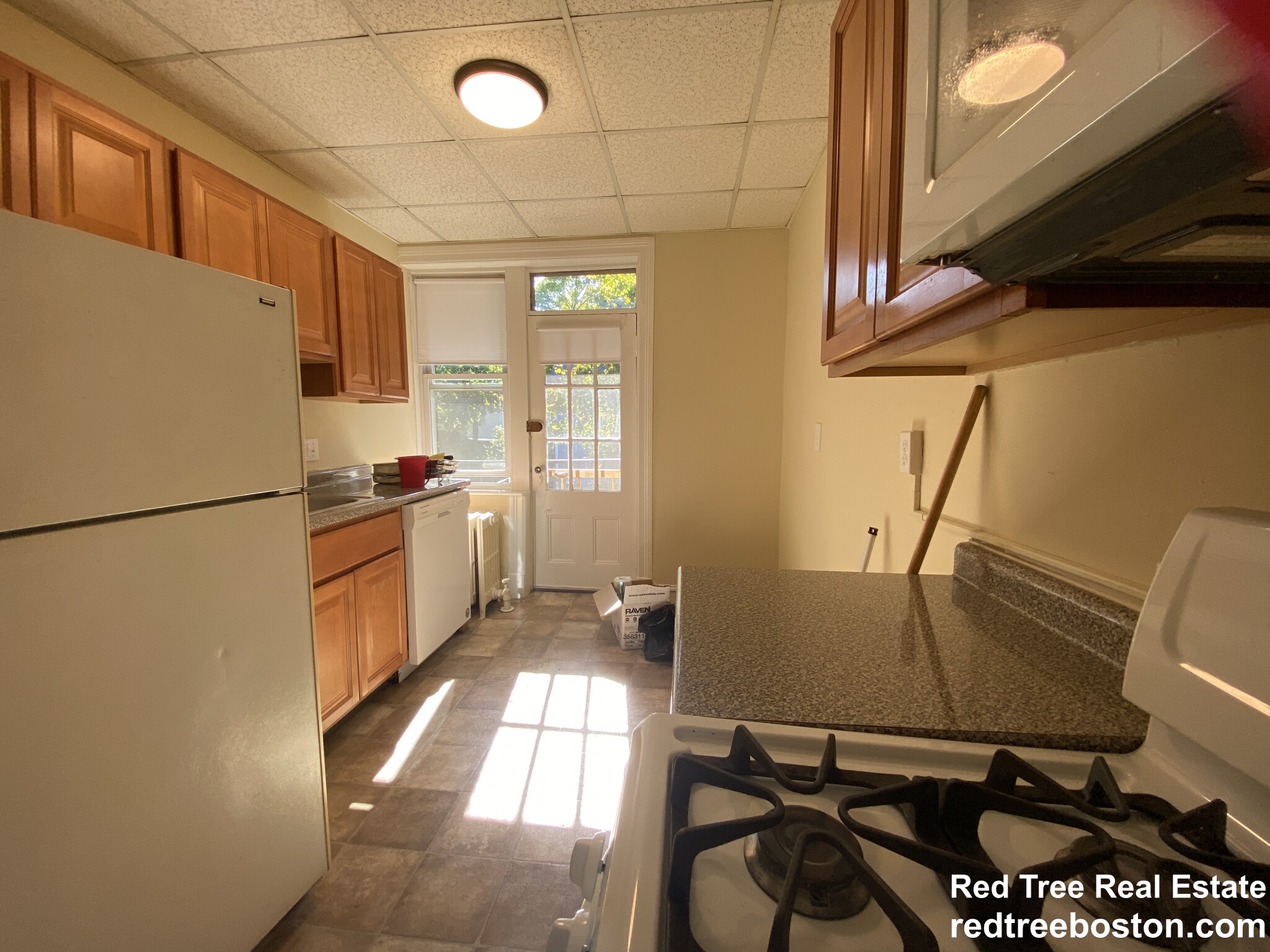 45 Chestnut Hill Ave, Brighton