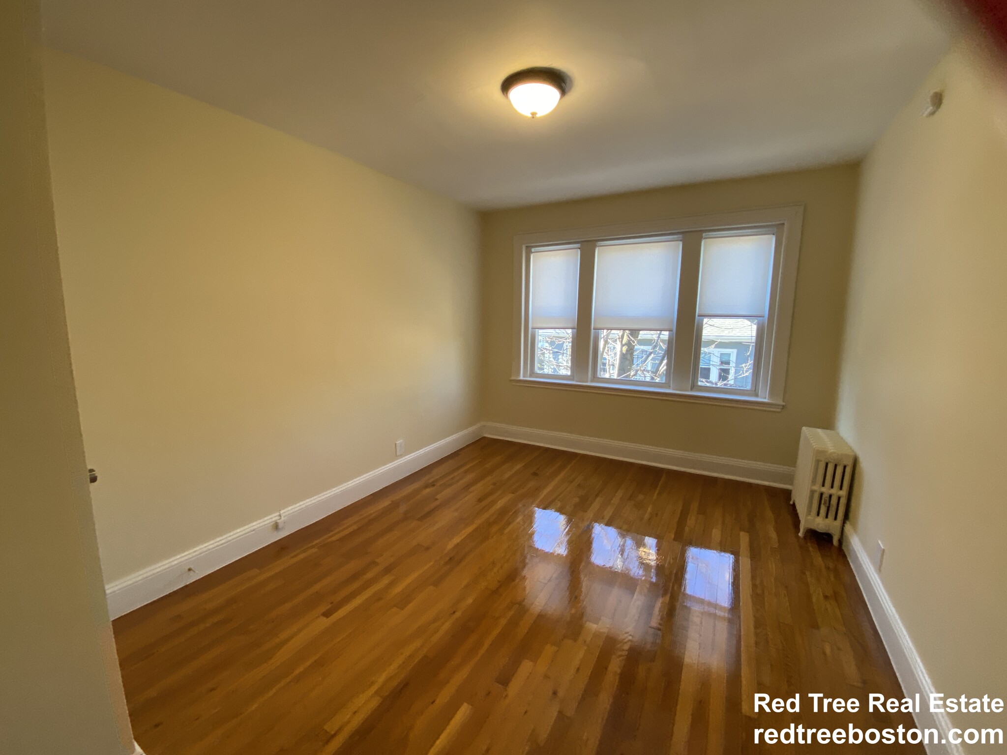 45 Chestnut Hill Ave, Brighton