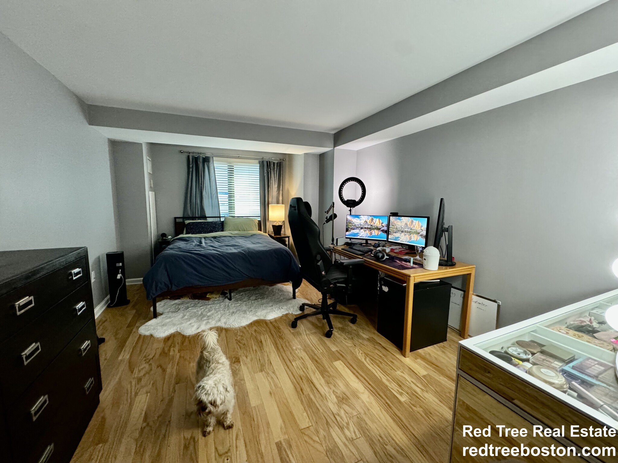 165 Tremont St, Downtown