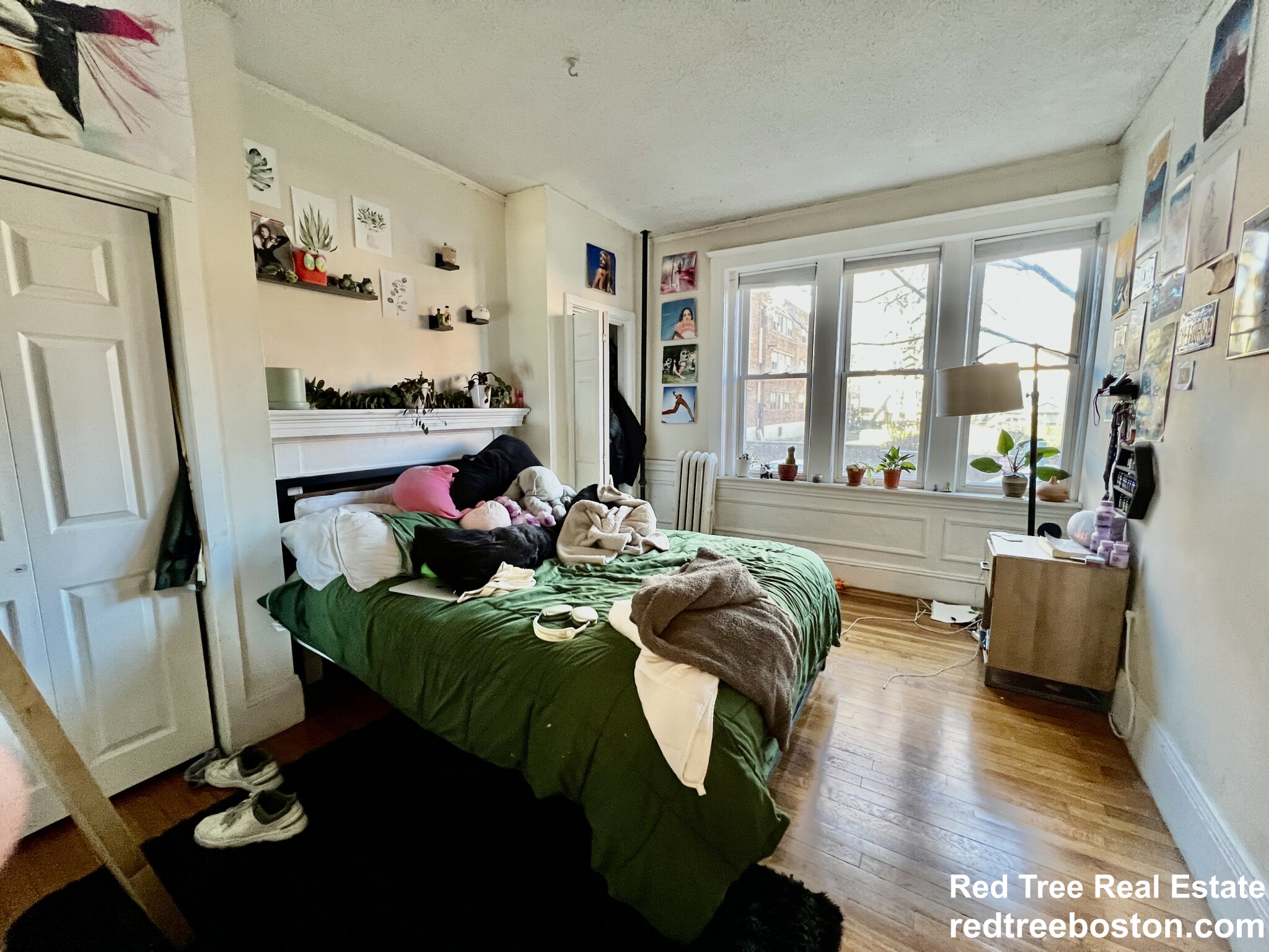 60 Egmont St, North Brookline